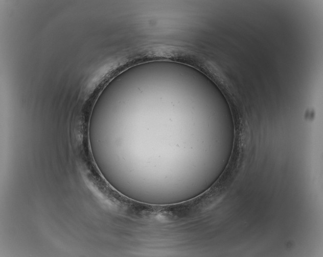 X0000110930683200906251334