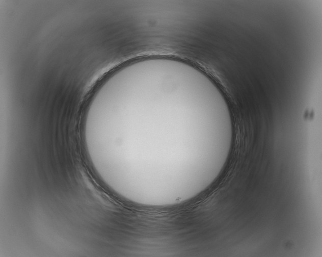 X0000110930684200906251334