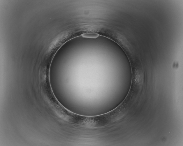 X0000110930685200906251334