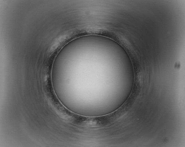 X0000110930687200906251334