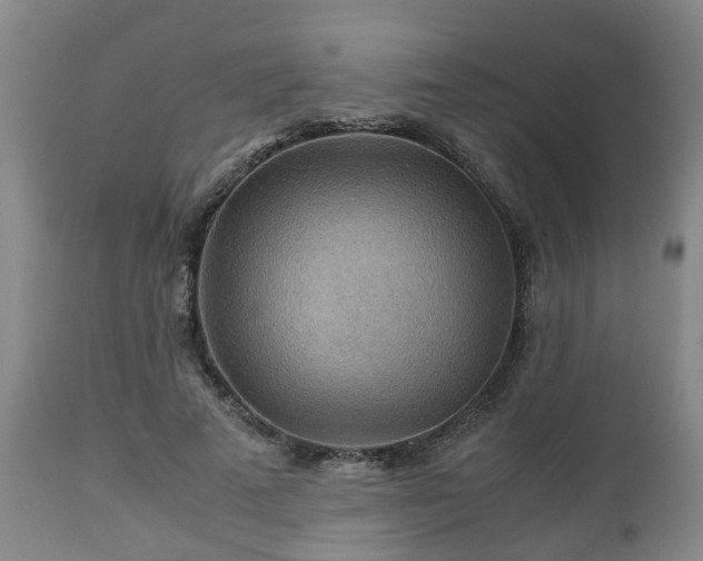 X0000110930689200906251334