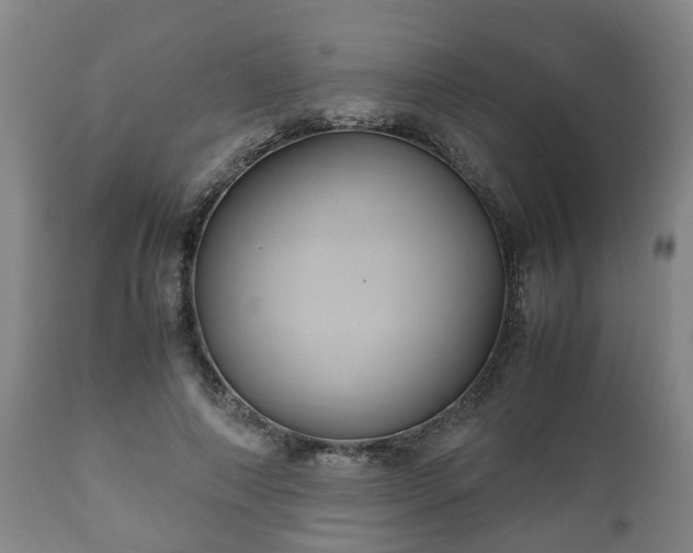 X0000110930690200906251334