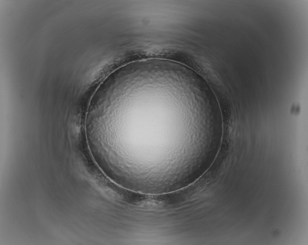 X0000110930691200906251334