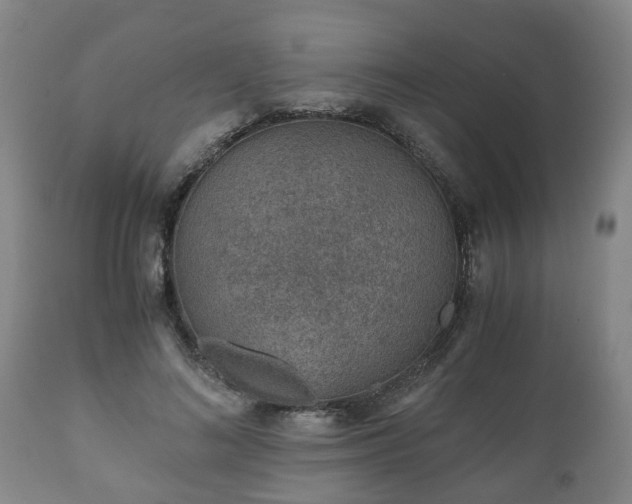 X0000110930692200906251334