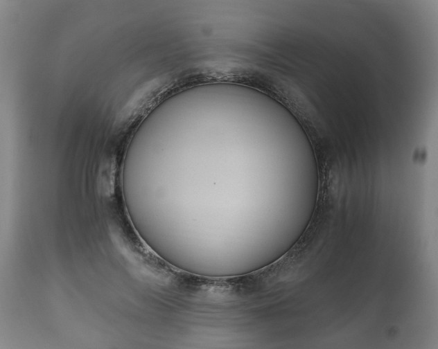 X0000110930694200906251334