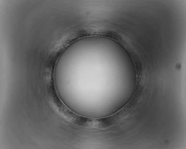 X0000110930695200906251334