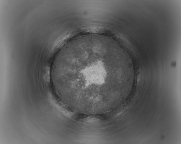 X0000110930696200906251334