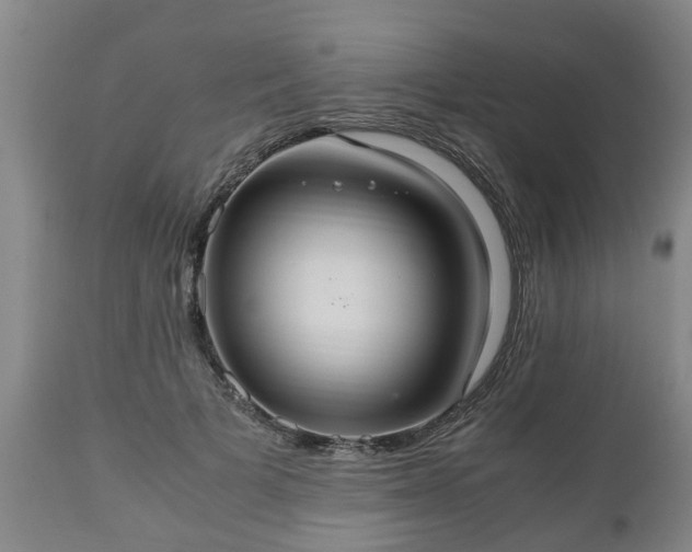 X0000110930697200906251333