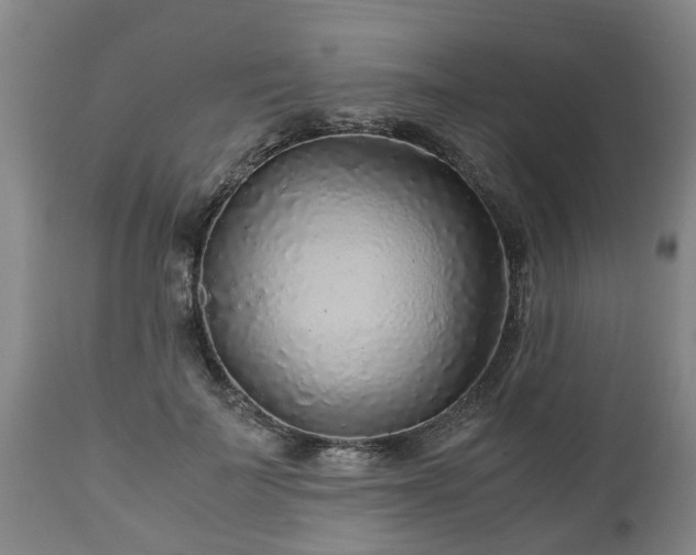 X0000110930699200906251333