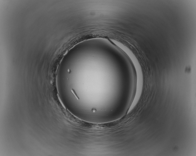 X0000110930701200906251333