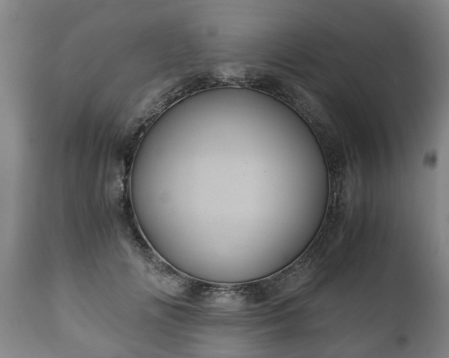 X0000110930702200906251333