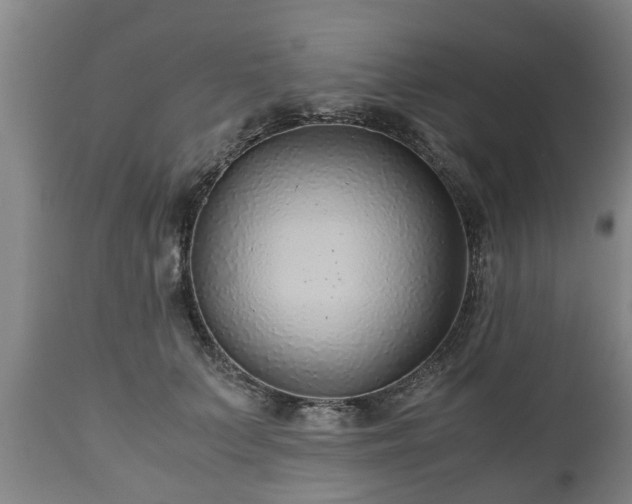 X0000110930703200906251333