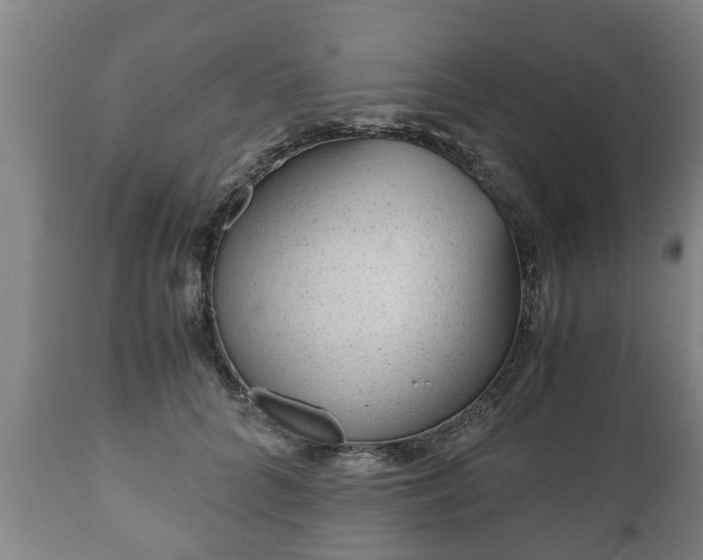 X0000110930704200906251333