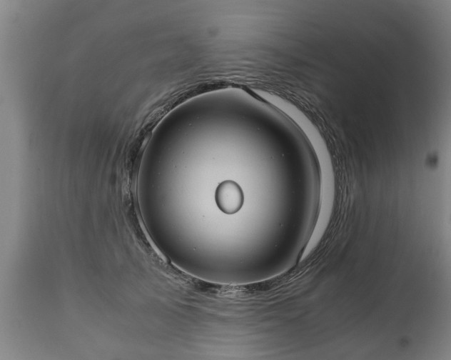 X0000110930705200906251333