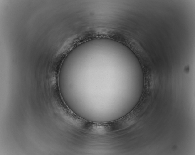 X0000110930706200906251333