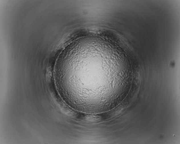 X0000110930707200906251333