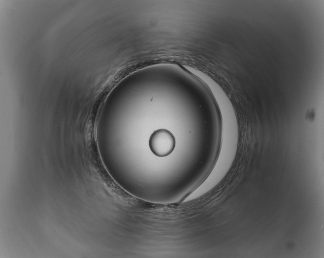 X0000110930708200906251333