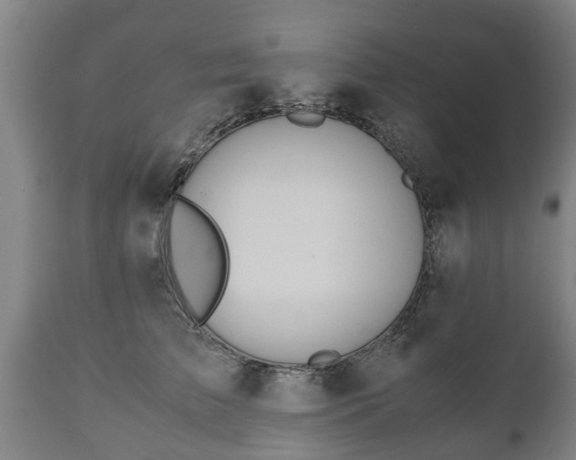 X0000110930709200906251333