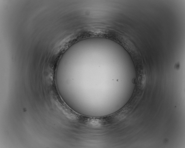 X0000110930710200906251333