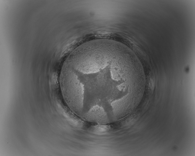 X0000110930711200906251333