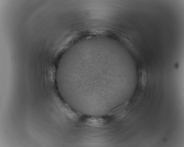 X0000110930712200906251333