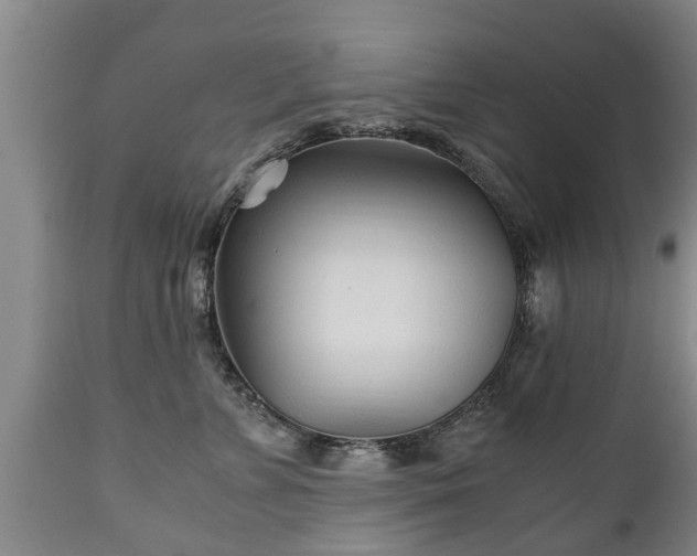 X0000110930715200906251333