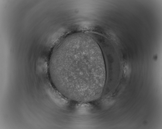 X0000110930716200906251333