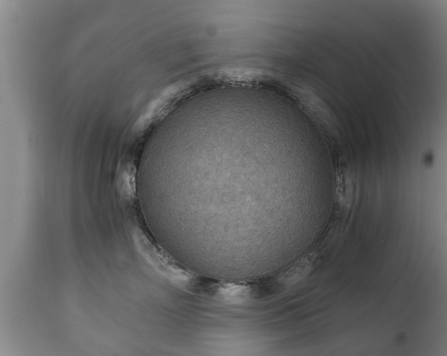 X0000110930718200906251333