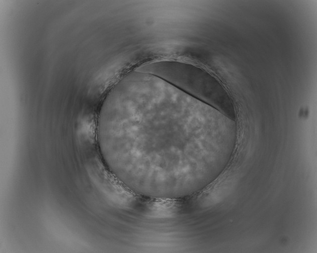 X0000110930720200906251333