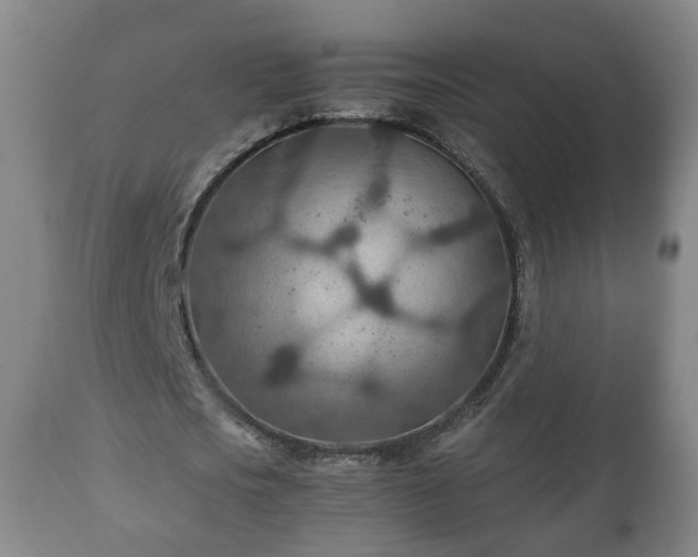 X0000110930721200906251332