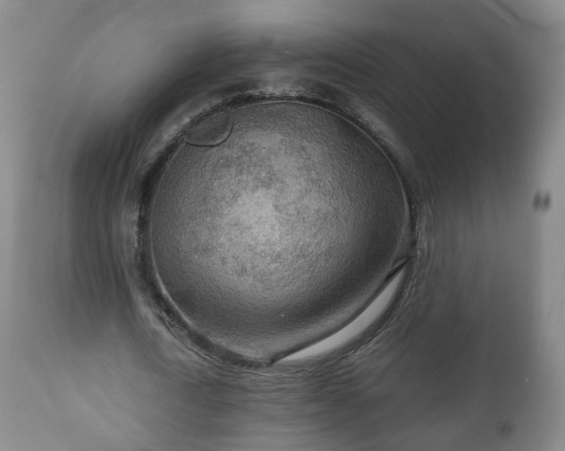 X0000110930722200906251332