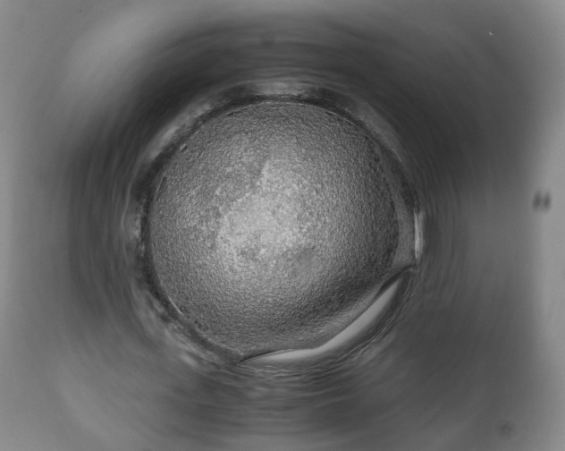 X0000110930723200906251332