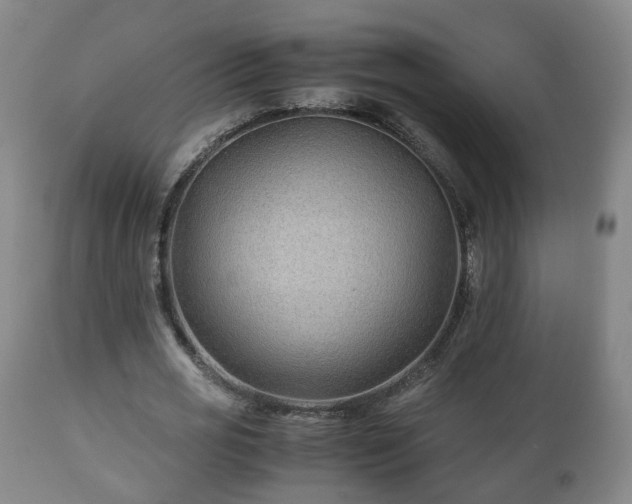X0000110930725200906251332