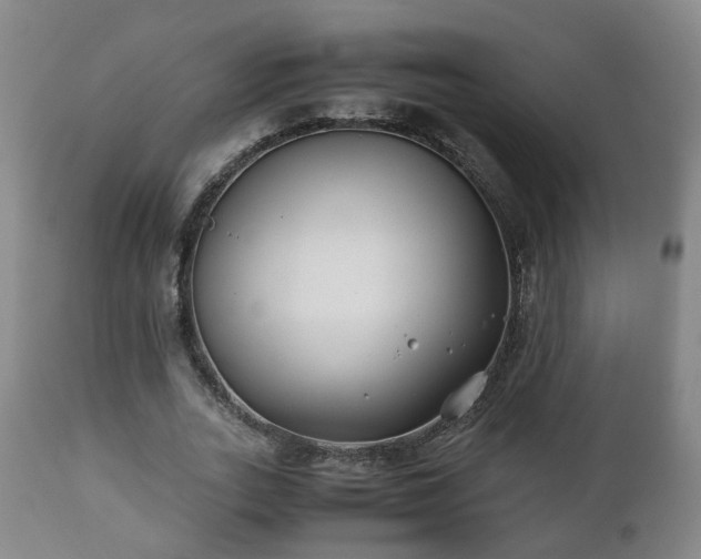 X0000110930727200906251332