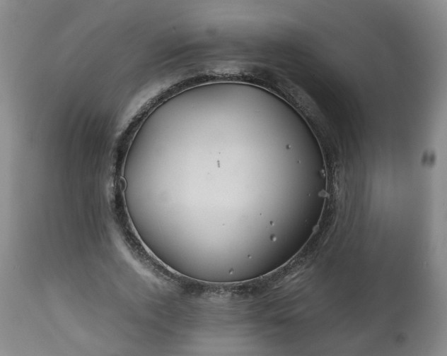 X0000110930728200906251332