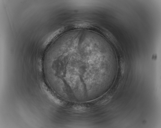 X0000110930729200906251332