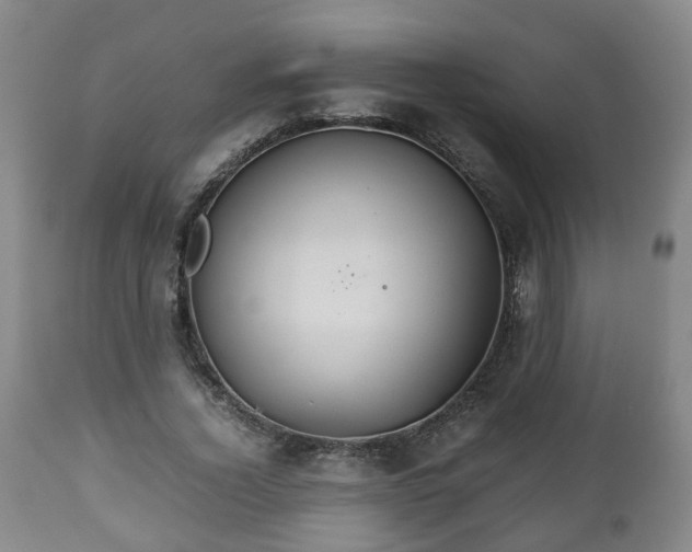 X0000110930732200906251333