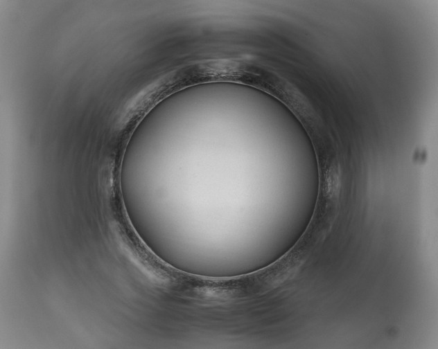 X0000110930733200906251333