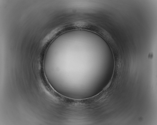 X0000110930734200906251333