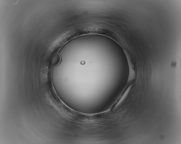X0000110930735200906251333