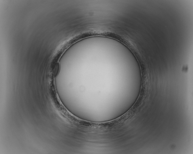 X0000110930736200906251333