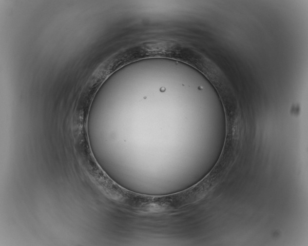 X0000110930737200906251333