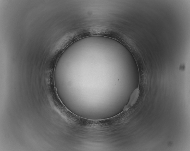 X0000110930738200906251333