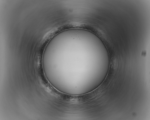 X0000110930740200906251333