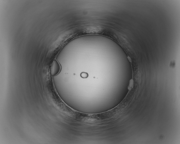 X0000110930743200906251333