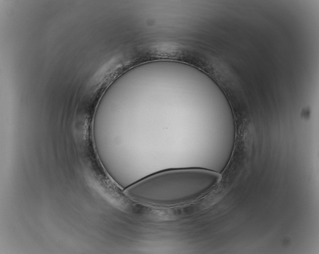 X0000110930744200906251333