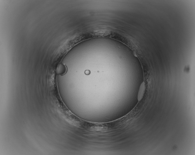 X0000110930745200906251333