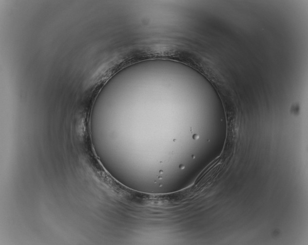 X0000110930746200906251333
