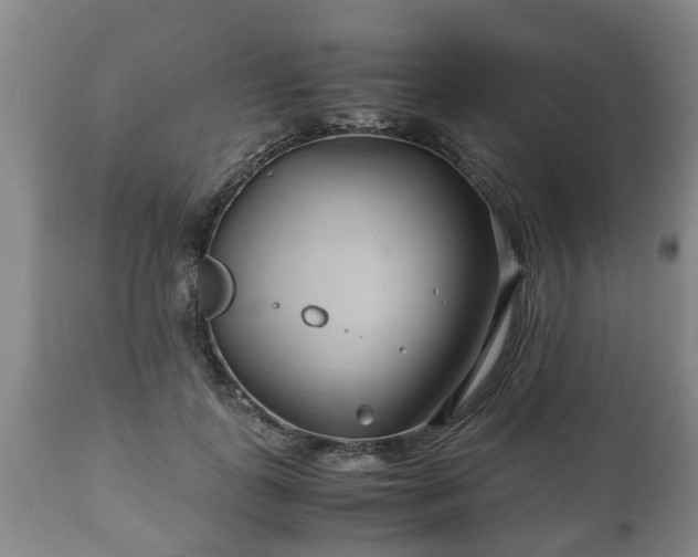 X0000110930747200906251333