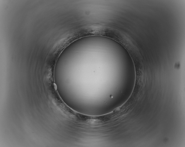 X0000110930748200906251333